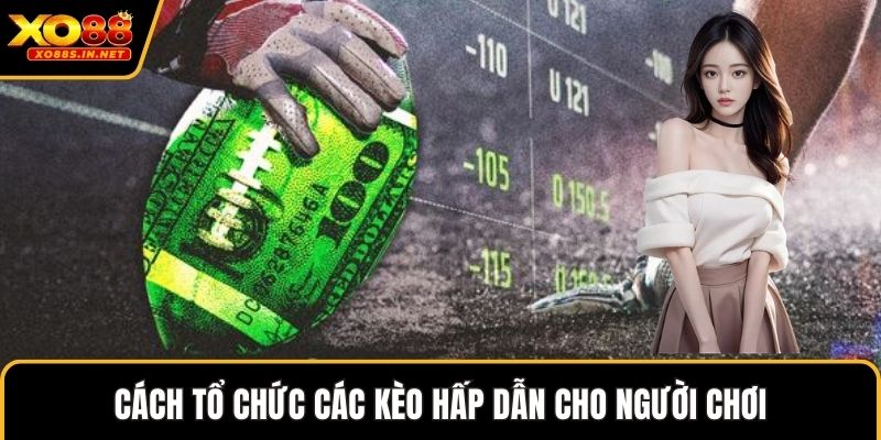 Cách tổ chức các kèo hấp dẫn cho người chơi