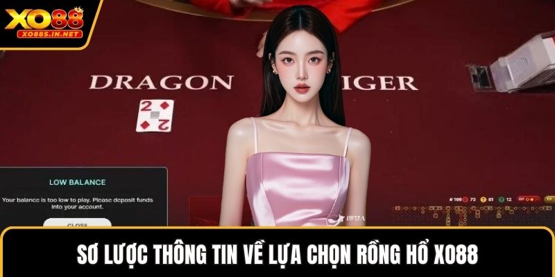 Sơ lược thông tin về lựa chọn rồng hổ XO88