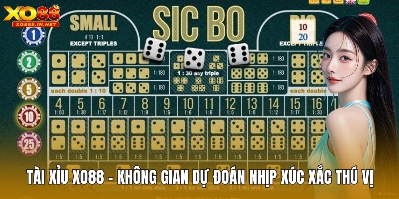 Tài Xỉu XO88 – Không Gian Dự Đoán Nhịp Xúc Xắc Thú Vị