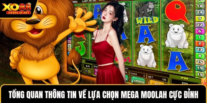 Tổng quan thông tin về lựa chọn Mega Moolah cực đỉnh
